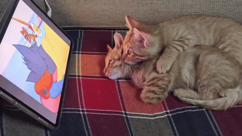 Learning from the best