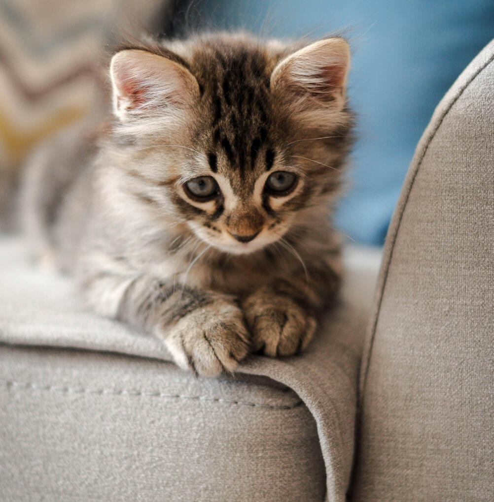 When WFH is not an option.